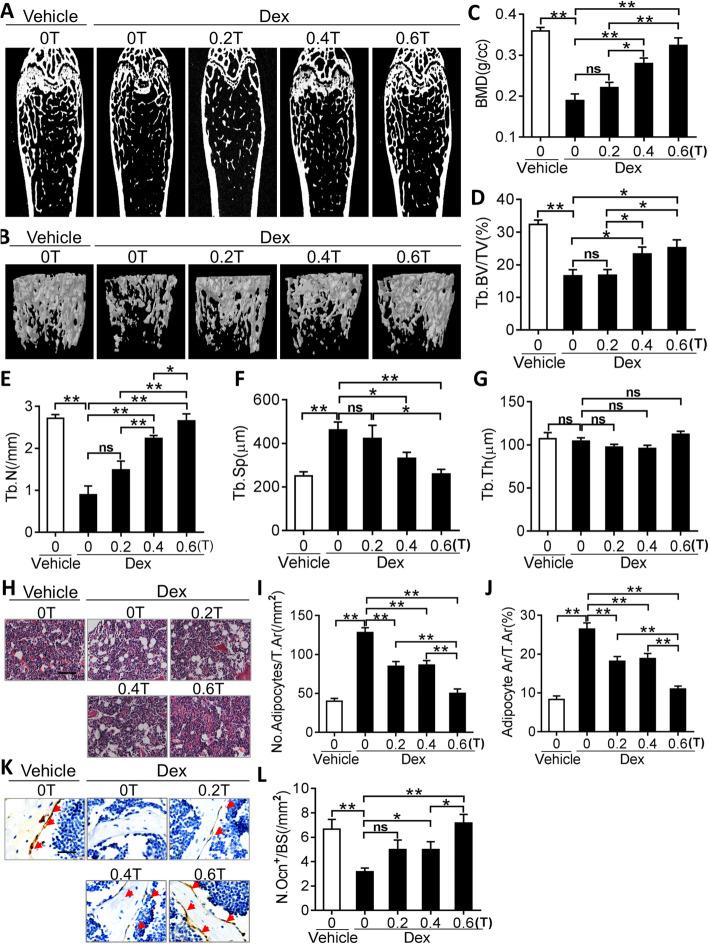 https://cdn.ncbi.nlm.nih.gov/pmc/blobs/16c9/7667787/1ec8fdf2047b/13287_2020_2004_Fig7_HTML.jpg