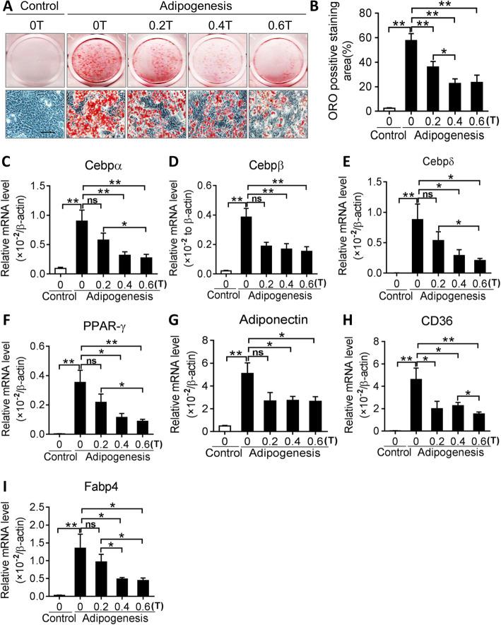https://cdn.ncbi.nlm.nih.gov/pmc/blobs/16c9/7667787/61ccf8d8c23e/13287_2020_2004_Fig2_HTML.jpg