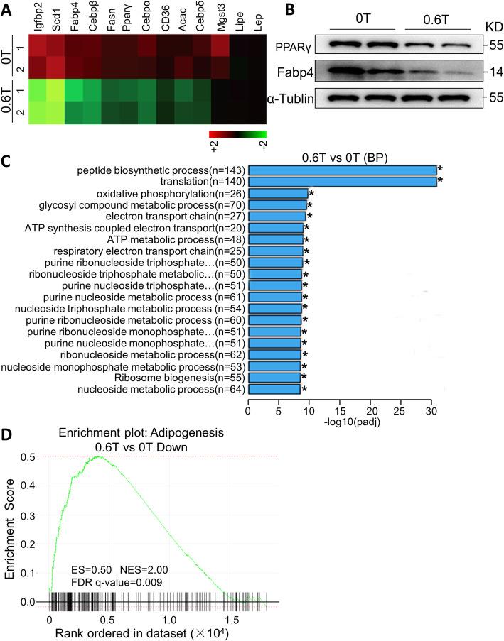 https://cdn.ncbi.nlm.nih.gov/pmc/blobs/16c9/7667787/e61a32d96028/13287_2020_2004_Fig3_HTML.jpg