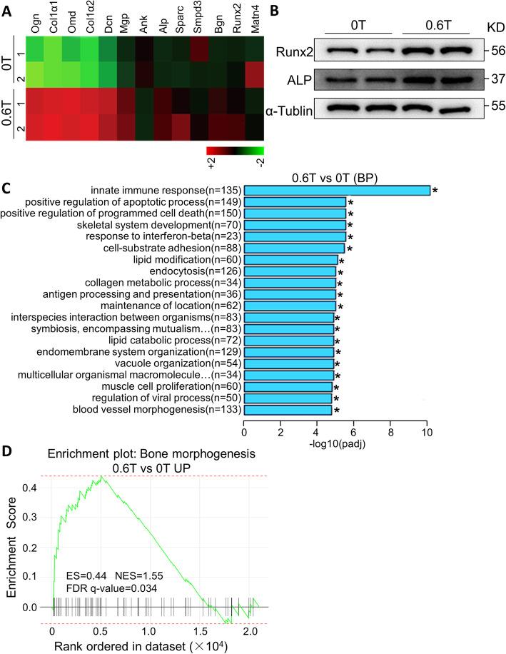 https://cdn.ncbi.nlm.nih.gov/pmc/blobs/16c9/7667787/fae7b3c90d01/13287_2020_2004_Fig5_HTML.jpg