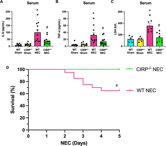 https://cdn.ncbi.nlm.nih.gov/pmc/blobs/16ce/11414128/15d4cd4ee3a0/10020_2024_935_Fig4_HTML.jpg