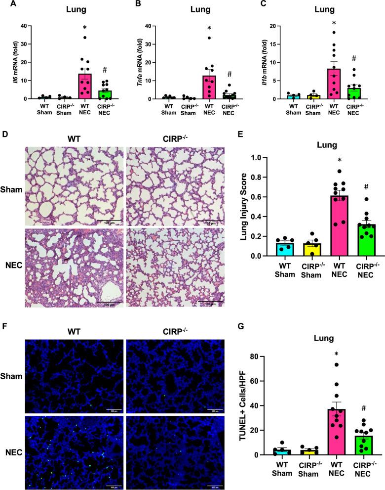 https://cdn.ncbi.nlm.nih.gov/pmc/blobs/16ce/11414128/2251c7ef64b9/10020_2024_935_Fig3_HTML.jpg