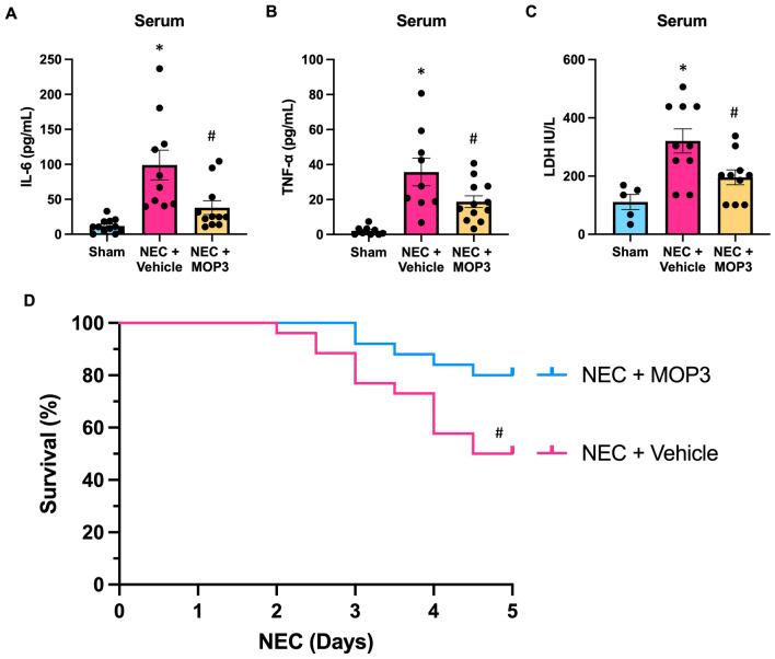 https://cdn.ncbi.nlm.nih.gov/pmc/blobs/16ce/11414128/977267ce9fcd/10020_2024_935_Fig7_HTML.jpg