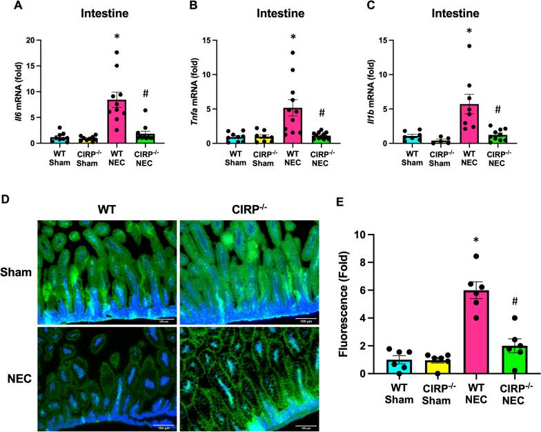 https://cdn.ncbi.nlm.nih.gov/pmc/blobs/16ce/11414128/c75968c16ed1/10020_2024_935_Fig2_HTML.jpg