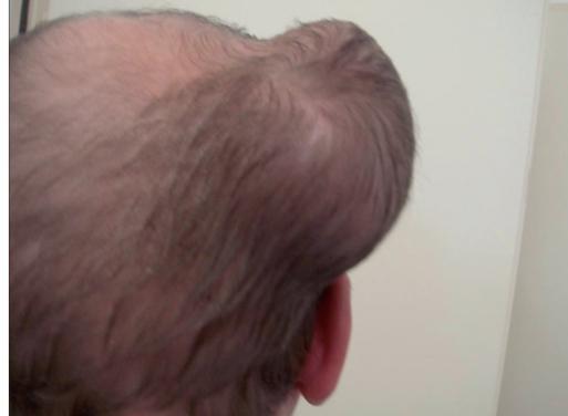 https://cdn.ncbi.nlm.nih.gov/pmc/blobs/16ce/2956951/ae5be8a416d4/JCAS-3-106-g004.jpg