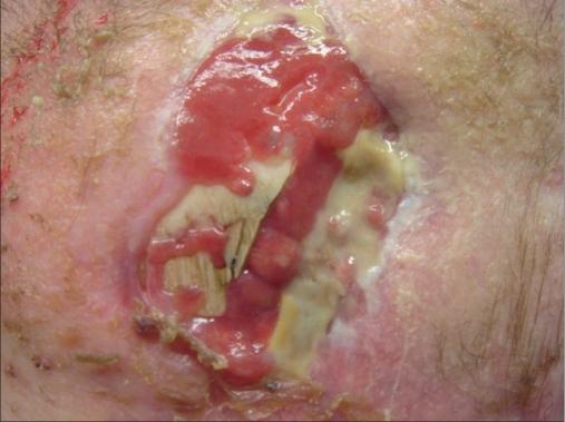 https://cdn.ncbi.nlm.nih.gov/pmc/blobs/16ce/2956951/ddc1a951dc70/JCAS-3-106-g001.jpg