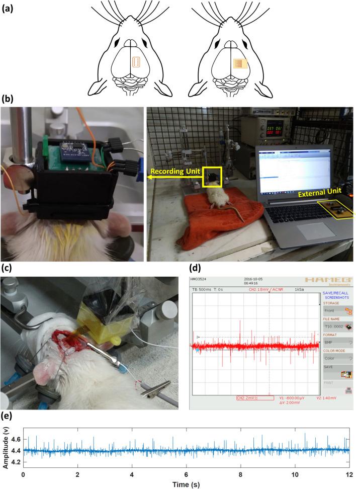 https://cdn.ncbi.nlm.nih.gov/pmc/blobs/16ce/7718888/58ffb98fe568/41598_2020_77953_Fig4_HTML.jpg
