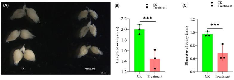 https://cdn.ncbi.nlm.nih.gov/pmc/blobs/16ce/9144682/7d10d5e2eeea/insects-13-00414-g006.jpg