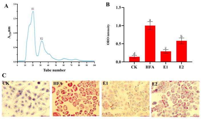 https://cdn.ncbi.nlm.nih.gov/pmc/blobs/16d0/12249373/bb219f1d7adf/foods-14-02338-g004.jpg