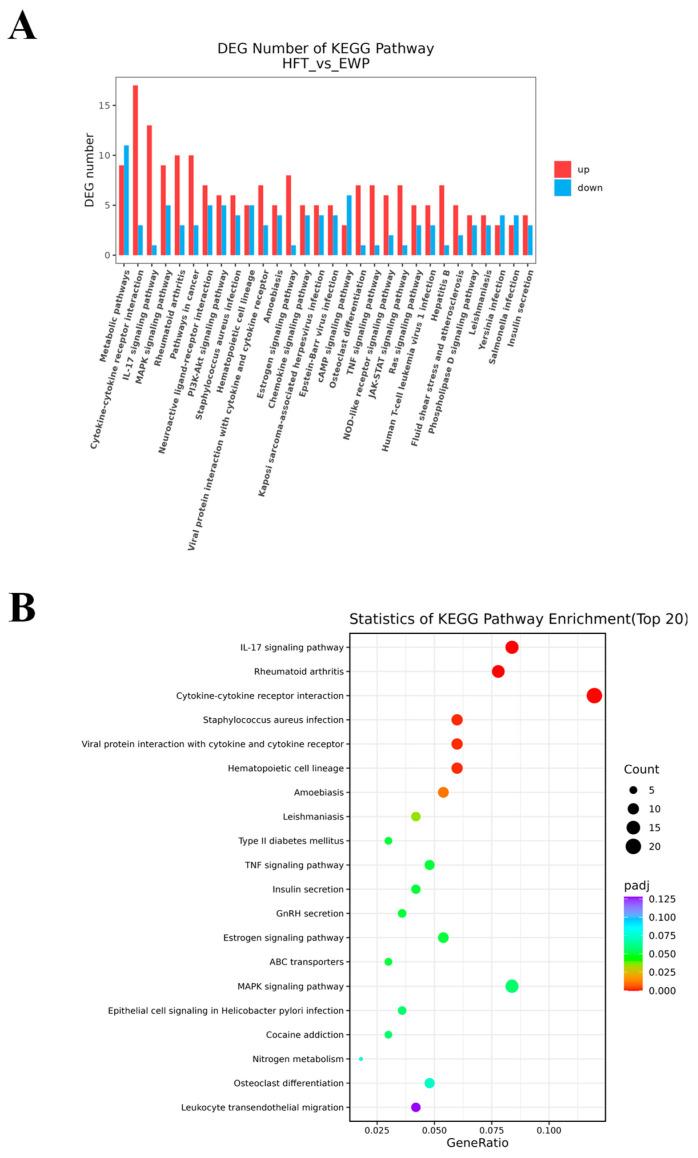 https://cdn.ncbi.nlm.nih.gov/pmc/blobs/16d0/12249373/bfd11c8fef18/foods-14-02338-g009.jpg