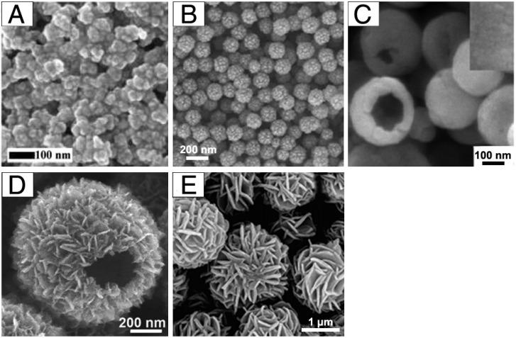 https://cdn.ncbi.nlm.nih.gov/pmc/blobs/16d0/6010979/26ed60556a09/thnov08p3284g004.jpg