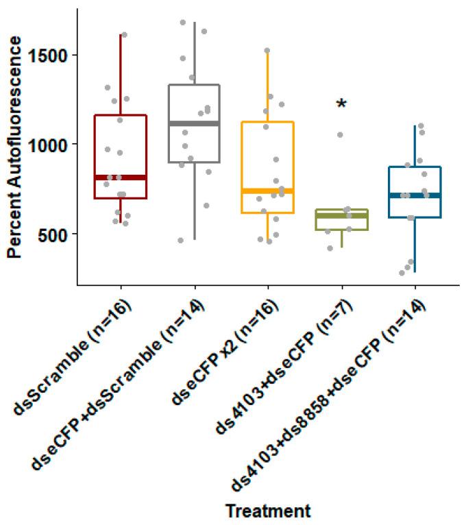 https://cdn.ncbi.nlm.nih.gov/pmc/blobs/16d0/7349537/632b961cf3fb/insects-11-00327-g004.jpg