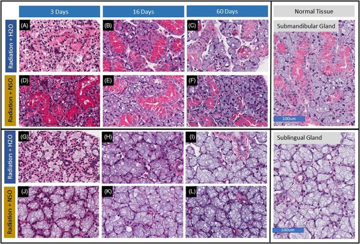 https://cdn.ncbi.nlm.nih.gov/pmc/blobs/16d2/10446306/54fedc949958/LIO2-8-912-g001.jpg