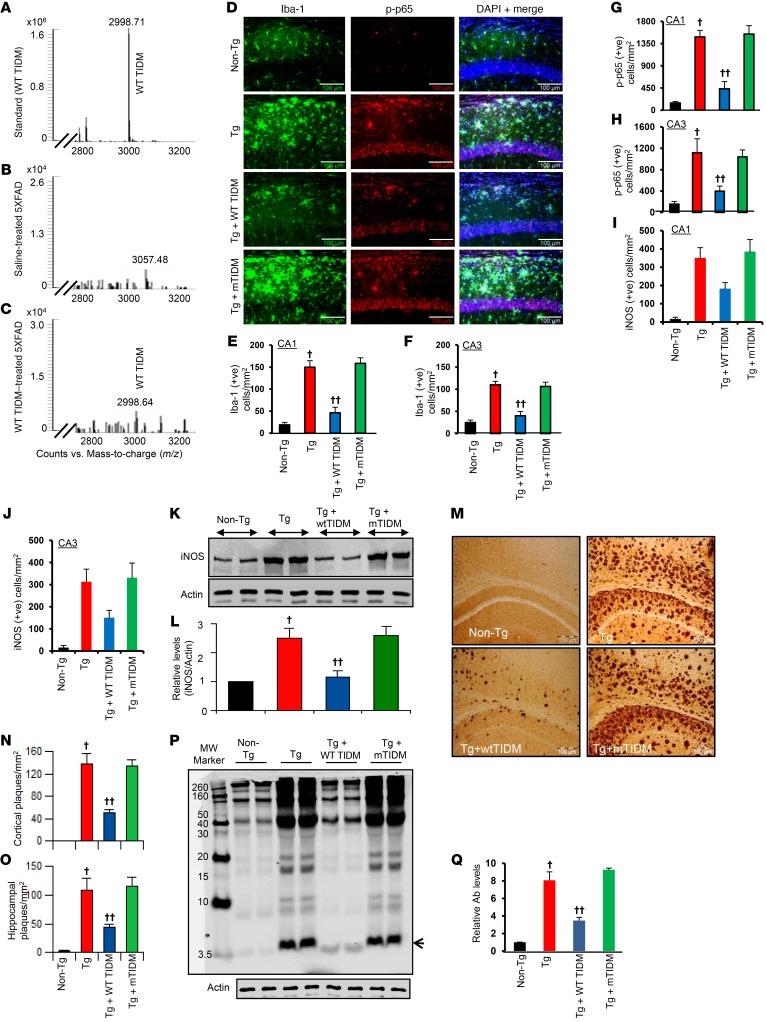 https://cdn.ncbi.nlm.nih.gov/pmc/blobs/16d2/6159992/77b046be6129/jci-128-96209-g174.jpg