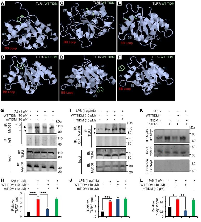 https://cdn.ncbi.nlm.nih.gov/pmc/blobs/16d2/6159992/7d7a10b39bea/jci-128-96209-g172.jpg