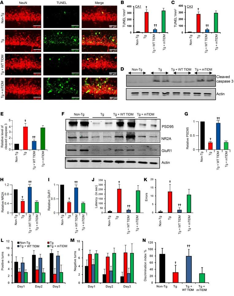 https://cdn.ncbi.nlm.nih.gov/pmc/blobs/16d2/6159992/ede42d654bf1/jci-128-96209-g175.jpg
