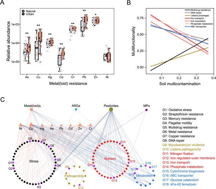 https://cdn.ncbi.nlm.nih.gov/pmc/blobs/16d5/10042830/093123b71bb7/41467_2023_37428_Fig3_HTML.jpg