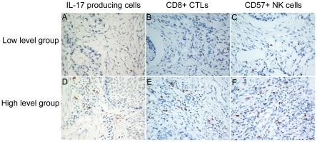 https://cdn.ncbi.nlm.nih.gov/pmc/blobs/16d5/3069054/cfcf9b18c7ac/pone.0018219.g003.jpg