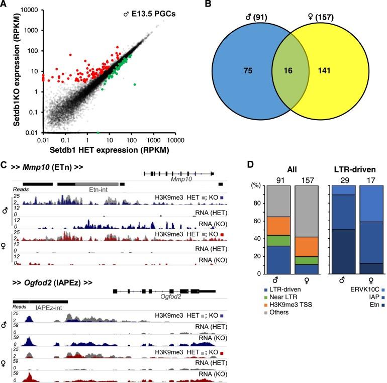 https://cdn.ncbi.nlm.nih.gov/pmc/blobs/16d5/4173156/729fbe339c41/2041fig6.jpg