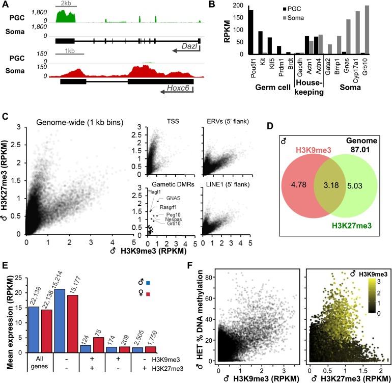 https://cdn.ncbi.nlm.nih.gov/pmc/blobs/16d5/4173156/ef384e992108/2041fig1.jpg