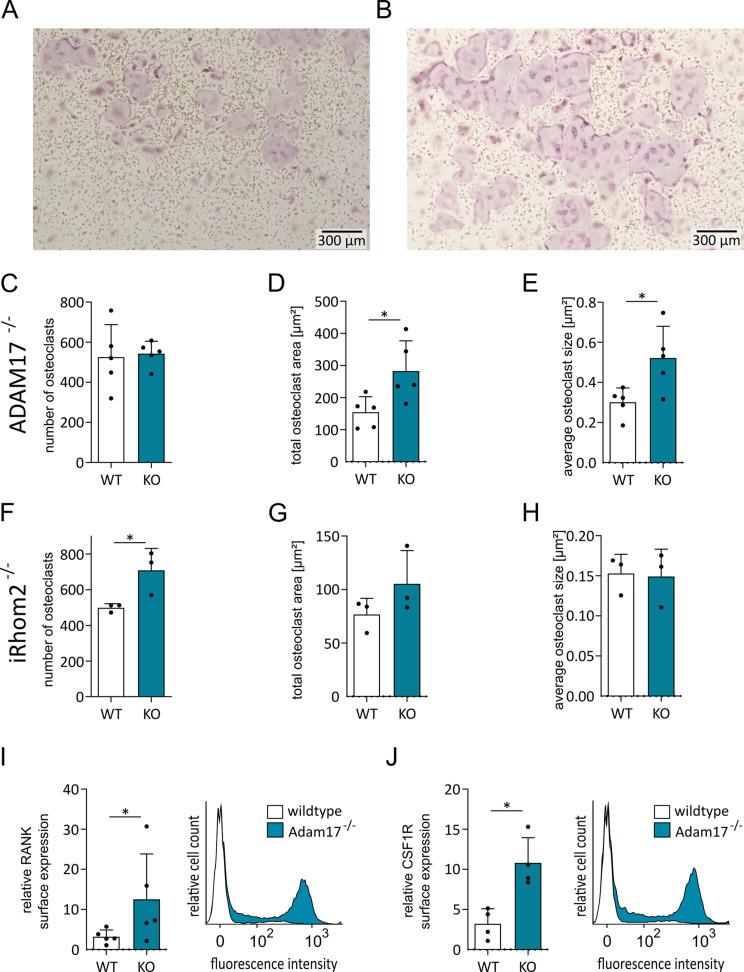 https://cdn.ncbi.nlm.nih.gov/pmc/blobs/16d7/11167776/76b9eb80ee92/12964_2024_1690_Fig4_HTML.jpg
