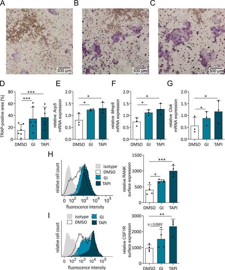 https://cdn.ncbi.nlm.nih.gov/pmc/blobs/16d7/11167776/77e0c23448d6/12964_2024_1690_Fig2_HTML.jpg
