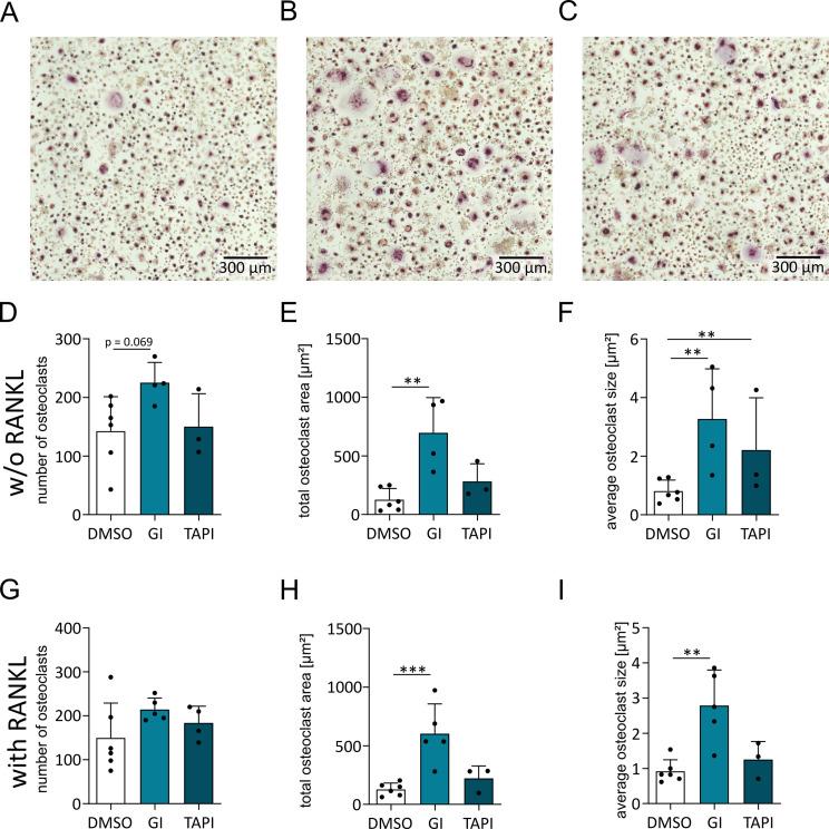 https://cdn.ncbi.nlm.nih.gov/pmc/blobs/16d7/11167776/9c0210d7d821/12964_2024_1690_Fig6_HTML.jpg