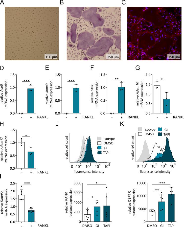https://cdn.ncbi.nlm.nih.gov/pmc/blobs/16d7/11167776/ff8984f185cd/12964_2024_1690_Fig3_HTML.jpg