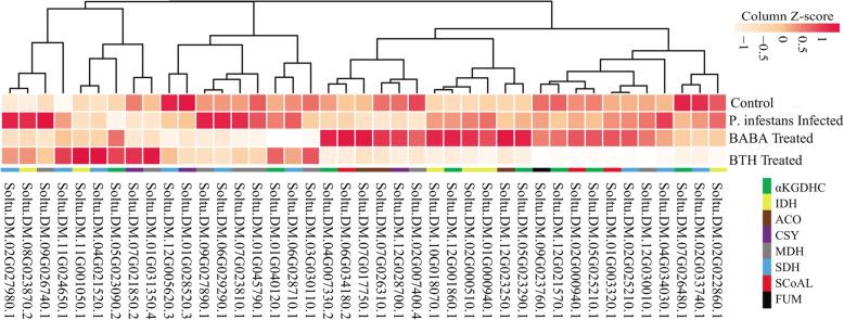 https://cdn.ncbi.nlm.nih.gov/pmc/blobs/16d7/8590752/904fde18d5dd/12864_2021_8109_Fig9_HTML.jpg