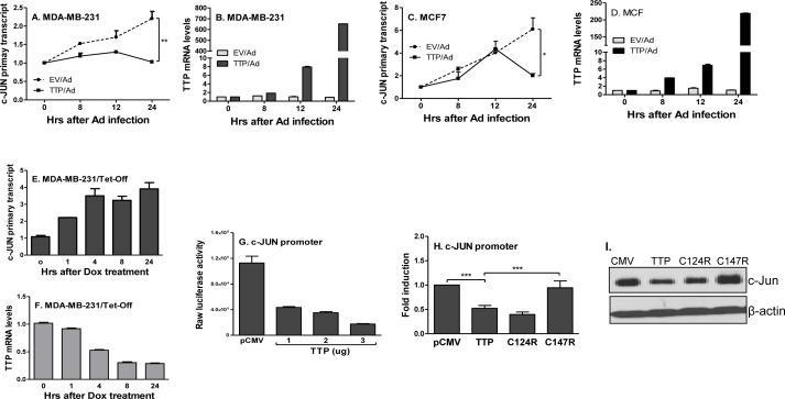 https://cdn.ncbi.nlm.nih.gov/pmc/blobs/16d9/4747181/46a411a795f0/oncotarget-06-41679-g005.jpg