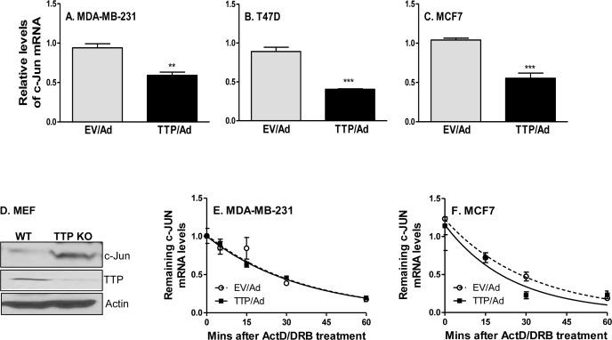 https://cdn.ncbi.nlm.nih.gov/pmc/blobs/16d9/4747181/4fa688bce702/oncotarget-06-41679-g004.jpg