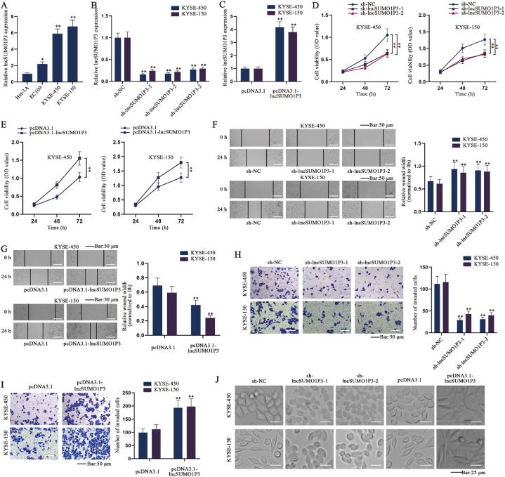 https://cdn.ncbi.nlm.nih.gov/pmc/blobs/16da/10558295/653911f52093/gr1.jpg