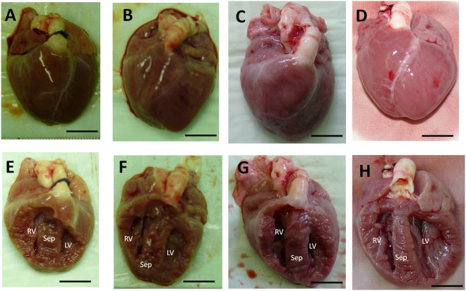 https://cdn.ncbi.nlm.nih.gov/pmc/blobs/16db/5859159/0b31cb7cfa98/41598_2018_22936_Fig2_HTML.jpg