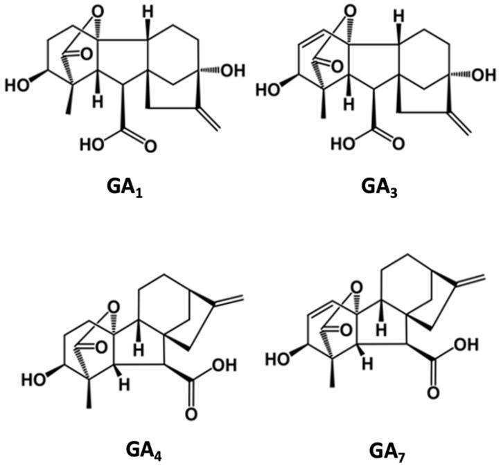 https://cdn.ncbi.nlm.nih.gov/pmc/blobs/16dd/9921776/b5a5c60db339/plants-12-00606-g002.jpg