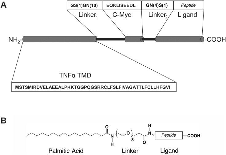 https://cdn.ncbi.nlm.nih.gov/pmc/blobs/16de/4229100/10facc2ef8ed/pone.0110502.g001.jpg