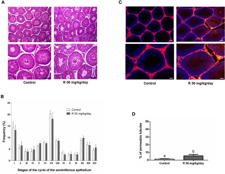 https://cdn.ncbi.nlm.nih.gov/pmc/blobs/16df/7992013/4311c47734d0/fendo-12-615678-g005.jpg
