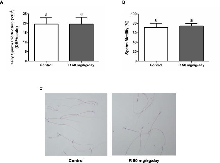 https://cdn.ncbi.nlm.nih.gov/pmc/blobs/16df/7992013/adc12605c72e/fendo-12-615678-g006.jpg
