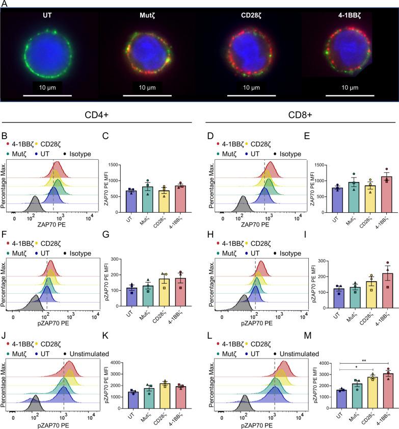 https://cdn.ncbi.nlm.nih.gov/pmc/blobs/16e2/10726568/190ba9dac5ab/12935_2023_3171_Fig2_HTML.jpg