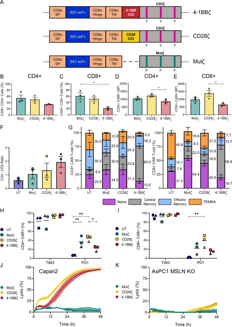 https://cdn.ncbi.nlm.nih.gov/pmc/blobs/16e2/10726568/7566b59d5e33/12935_2023_3171_Fig1_HTML.jpg