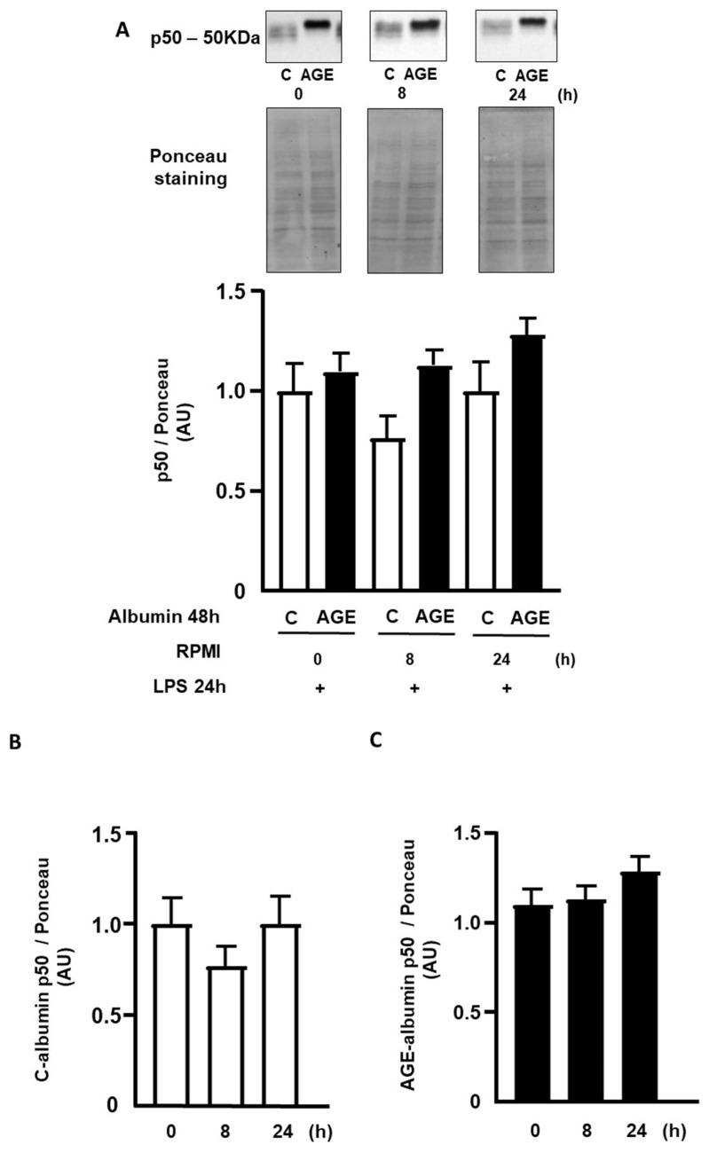 https://cdn.ncbi.nlm.nih.gov/pmc/blobs/16e4/10932021/e22c8d2ffb2d/ijms-25-02713-g006a.jpg