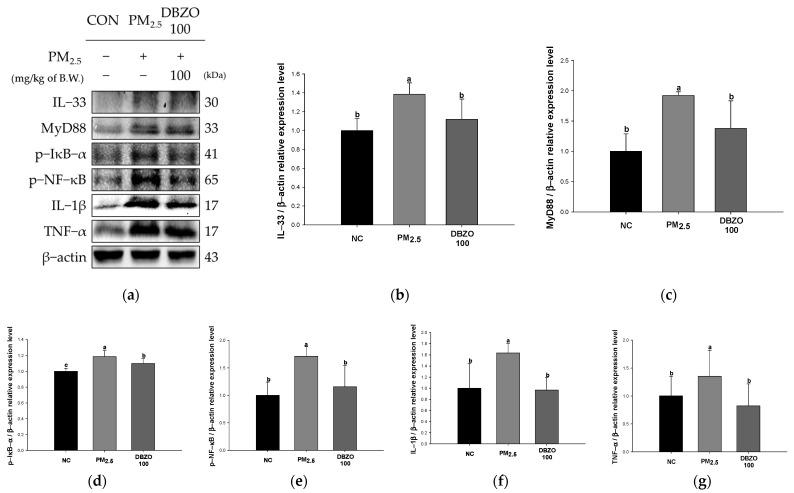 https://cdn.ncbi.nlm.nih.gov/pmc/blobs/16e4/11673267/51332947c460/antioxidants-13-01572-g007.jpg