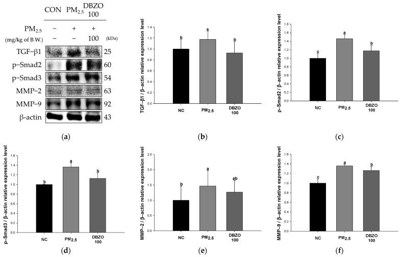 https://cdn.ncbi.nlm.nih.gov/pmc/blobs/16e4/11673267/e61c2782c775/antioxidants-13-01572-g009.jpg