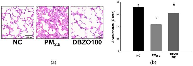 https://cdn.ncbi.nlm.nih.gov/pmc/blobs/16e4/11673267/e7d922facc4e/antioxidants-13-01572-g006.jpg