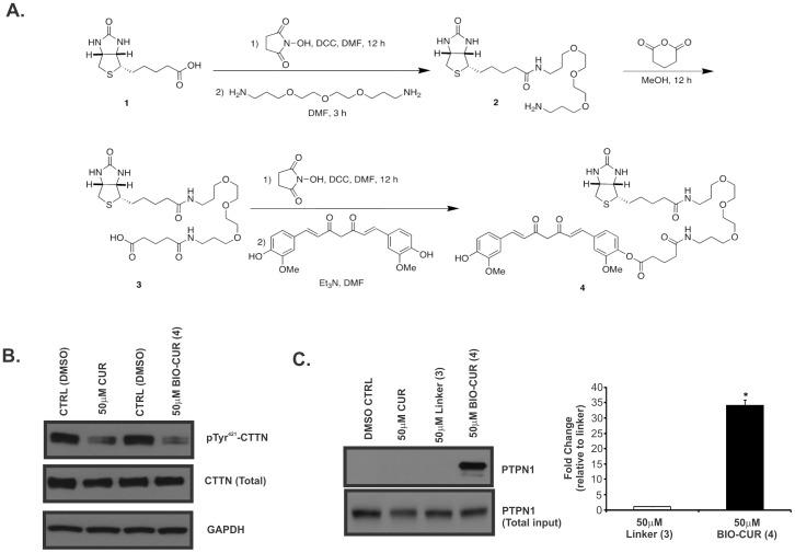 https://cdn.ncbi.nlm.nih.gov/pmc/blobs/16e4/3899080/7ecdcd93fc37/pone.0085796.g005.jpg