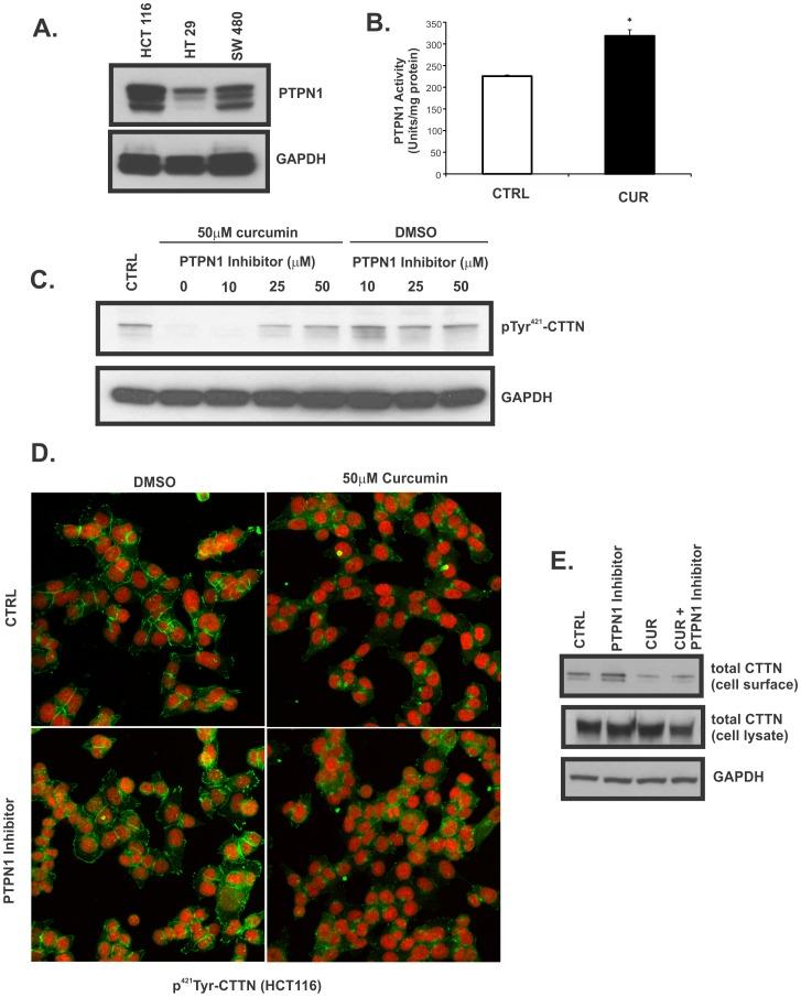 https://cdn.ncbi.nlm.nih.gov/pmc/blobs/16e4/3899080/89aedd5502f3/pone.0085796.g004.jpg