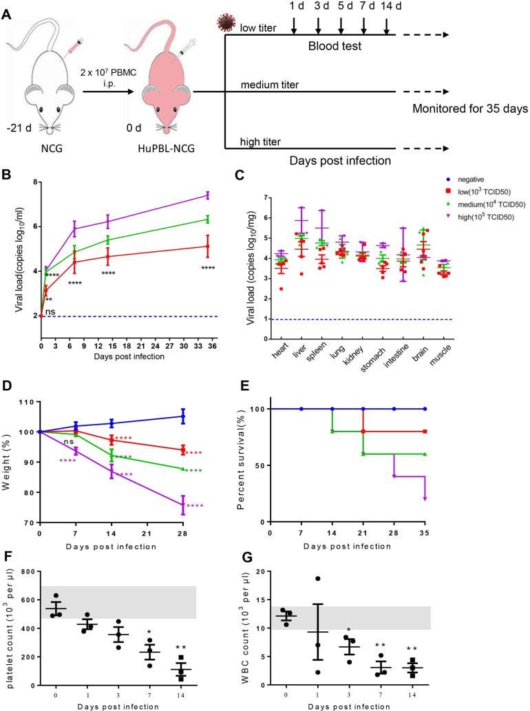 https://cdn.ncbi.nlm.nih.gov/pmc/blobs/16e5/8139491/d5d4de4732d1/ppat.1009587.g001.jpg