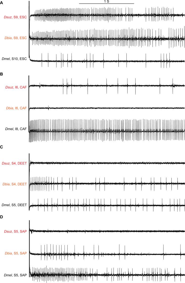 https://cdn.ncbi.nlm.nih.gov/pmc/blobs/16e6/7899650/0740f22d346c/elife-64317-fig5.jpg