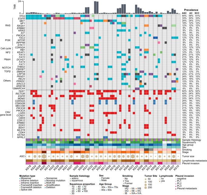 https://cdn.ncbi.nlm.nih.gov/pmc/blobs/16e7/10460394/374ebb66da38/41698_2023_430_Fig1_HTML.jpg