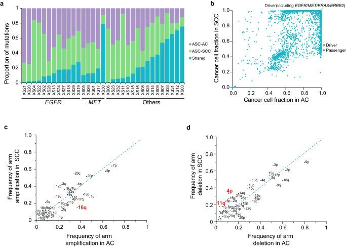 https://cdn.ncbi.nlm.nih.gov/pmc/blobs/16e7/10460394/aabf3ce1fc08/41698_2023_430_Fig2_HTML.jpg