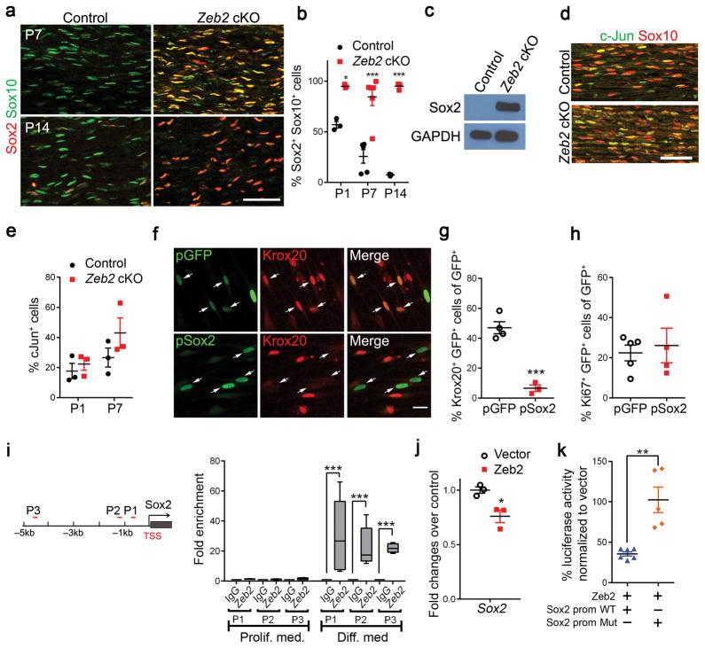 https://cdn.ncbi.nlm.nih.gov/pmc/blobs/16e7/4961522/1ecc02e7af96/nihms786838f5.jpg